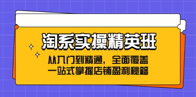 淘系实操精英班：从入门到精通，全面覆盖，一站式掌握店铺盈利秘籍网赚项目-副业赚钱-互联网创业-资源整合百读客