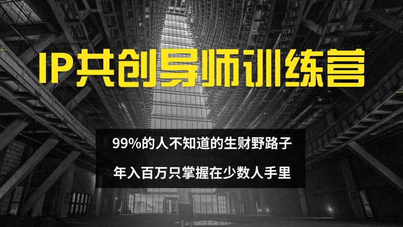 IP共创导师训练营 99%的人不知道的生财野路子 只掌握在少数人手里网赚项目-副业赚钱-互联网创业-资源整合百读客