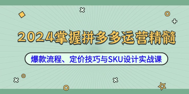 2024掌握拼多多运营精髓:爆款流程、定价技巧与SKU设计实战课网赚项目-副业赚钱-互联网创业-资源整合百读客