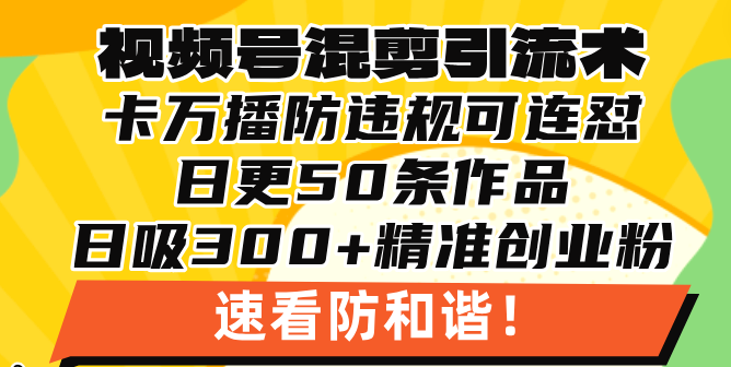 视频号混剪引流技术，500万播放引流17000创业粉，操作简单当天学会网赚项目-副业赚钱-互联网创业-资源整合百读客