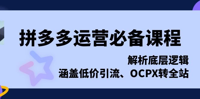 拼多多运营必备课程，解析底层逻辑，涵盖低价引流、OCPX转全站网赚项目-副业赚钱-互联网创业-资源整合百读客
