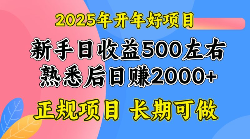 2025开年好项目,单号日收益2000左右网赚项目-副业赚钱-互联网创业-资源整合百读客