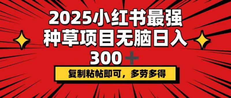 2025小红书最强种草项目,无脑日入300+,复制粘帖即可,多劳多得网赚项目-副业赚钱-互联网创业-资源整合百读客