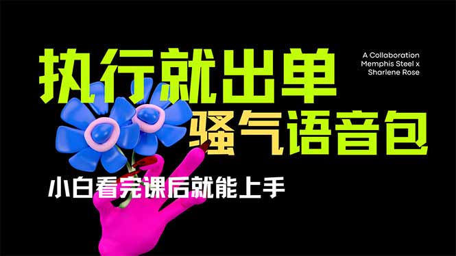 爆火全网的开车导航骚气语音包,只要执行就出单,小白看完课程就能实操…网赚项目-副业赚钱-互联网创业-资源整合百读客