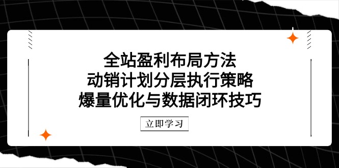 全站盈利布局方法:动销计划分层执行策略,爆量优化与数据闭环技巧网赚项目-副业赚钱-互联网创业-资源整合百读客