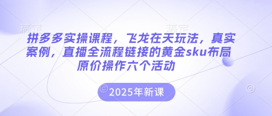 拼多多实操课程,飞龙在天玩法,真实案例,直播全流程链接的黄金sku布局原价操作六个活动网赚项目-副业赚钱-互联网创业-资源整合百读客
