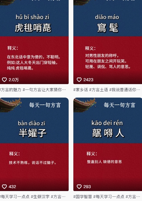 抖音最新涨粉玩法，图文方言暴力涨粉实操，126作品涨粉11W