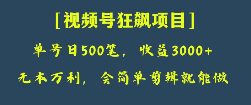 日收款500笔，纯利润3000+，视频号狂飙项目！网赚项目-副业赚钱-互联网创业-资源整合百读客
