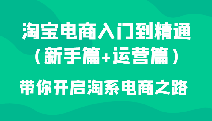 淘宝电商入门到精通(新手篇+运营篇)带你开启淘系电商之路网赚项目-副业赚钱-互联网创业-资源整合百读客
