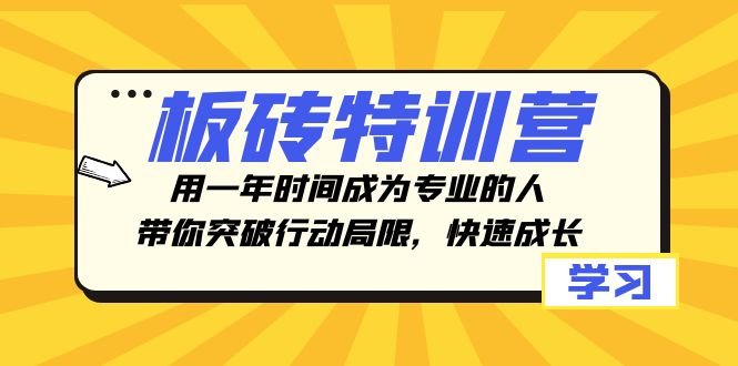 板砖特训营，用一年时间成为专业的人，带你突破行动局限，快速成长网赚项目-副业赚钱-互联网创业-资源整合百读客