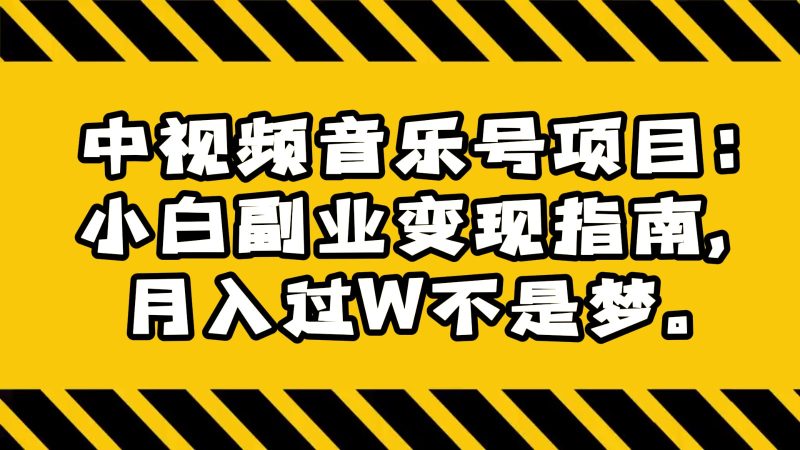 中视频音乐号项目：小白副业变现指南，月入过W不是梦。网赚项目-副业赚钱-互联网创业-资源整合百读客