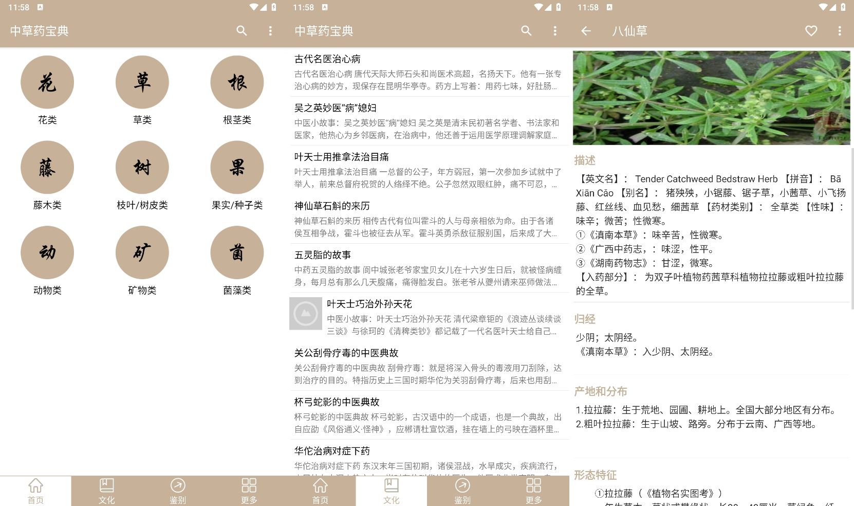 安卓中草药宝典v2.6.12纯净版