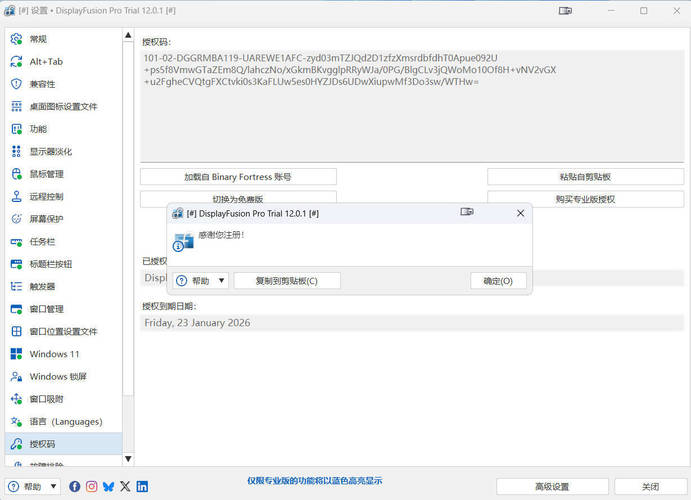 多显示器管理DisplayFusion Pro v12.0.1高级版