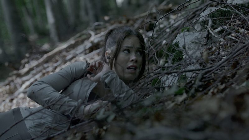 《奔跑/The Run》中文版网赚项目-副业赚钱-互联网创业-资源整合百读客