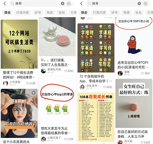 轻松涨粉的小红书热门赛道,批量操作轻松1000+