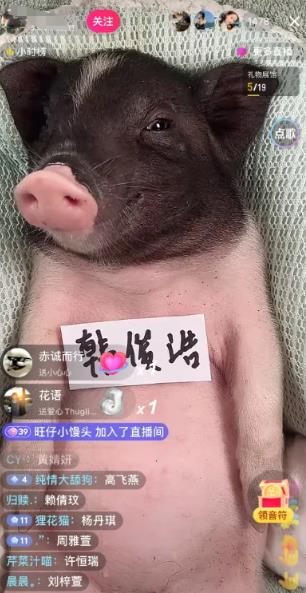 冷门赛道日入600米，零技术含量！_偏门项目