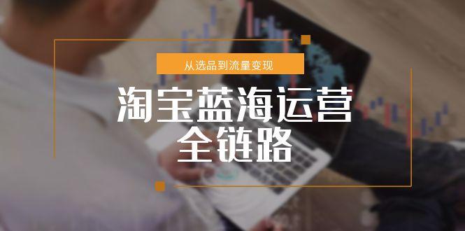 淘宝蓝海运营全链路,从选品到流量变现,小类目突围完整方案网赚项目-副业赚钱-互联网创业-资源整合百读客
