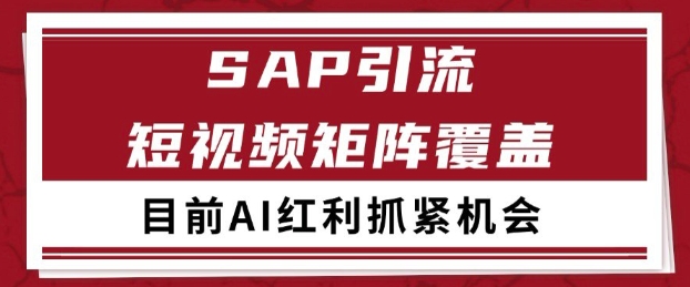小红书某音sap赛道引流获客 自热矩阵日引200+网赚项目-副业赚钱-互联网创业-资源整合百读客