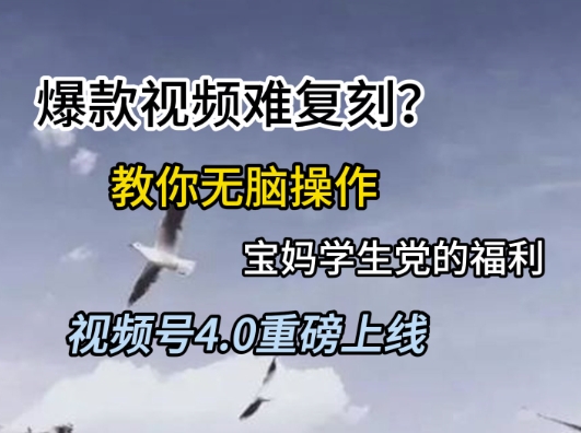视频号4.0重磅上线,爆款视频难复刻?教你无脑操作宝妈学生党的福利网赚项目-副业赚钱-互联网创业-资源整合百读客