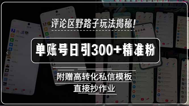 评论区野路子玩法揭秘!单账号日引300+精准粉,附赠高转化私信模板,直…网赚项目-副业赚钱-互联网创业-资源整合百读客