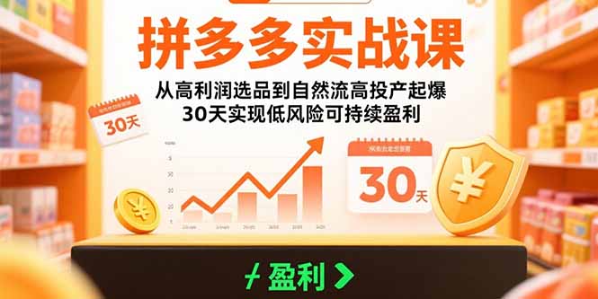 拼多多实战课:从高利润选品到自然流高投产起爆 30天实现低风险可持续盈利网赚项目-副业赚钱-互联网创业-资源整合百读客