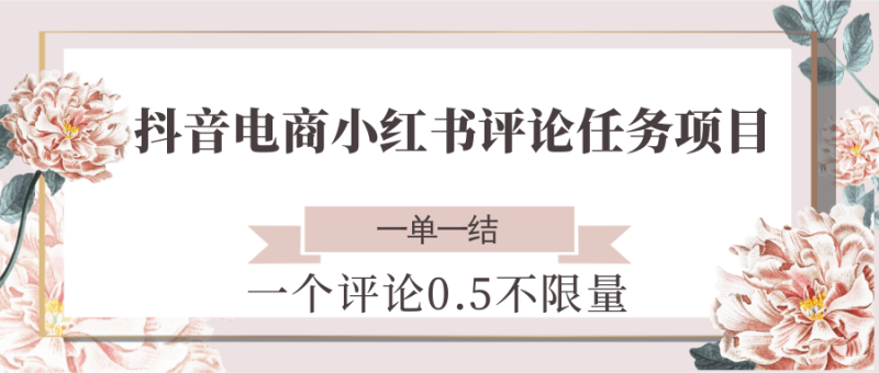 抖音电商小红书评论任务项目,一个评论0.5,一单一结 不限量网赚项目-副业赚钱-互联网创业-资源整合百读客