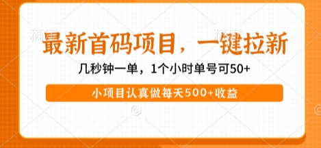 最新首码项目，操作最简单，收益高，一键拉新，1个小时单号可50+，小项目认真做每天5张+收益网赚项目-副业赚钱-互联网创业-资源整合百读客
