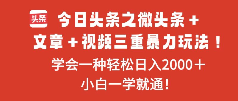 今日头条之微头条＋文章＋视频三重暴力玩法，学会一种轻松日入2000＋，…网赚项目-副业赚钱-互联网创业-资源整合百读客