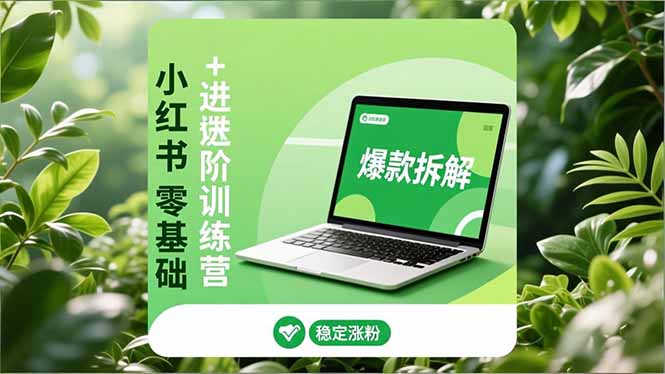 小红书零基础+高阶训练营：安全养号、爆款拆解、长效运营，实现稳定涨粉与变现网赚项目-副业赚钱-互联网创业-资源整合百读客