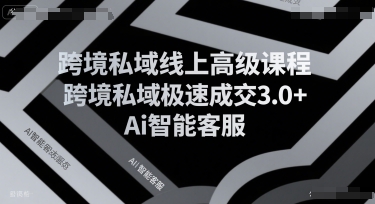 跨境私域线上高级课程，跨境私域极速成交3.0+Ai智能客服网赚项目-副业赚钱-互联网创业-资源整合百读客