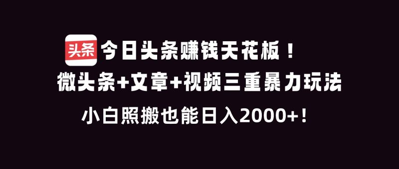 今日头条赚钱天花板！微头条+文章+视频三重暴利玩法，小白照搬也能日人2000+网赚项目-副业赚钱-互联网创业-资源整合百读客