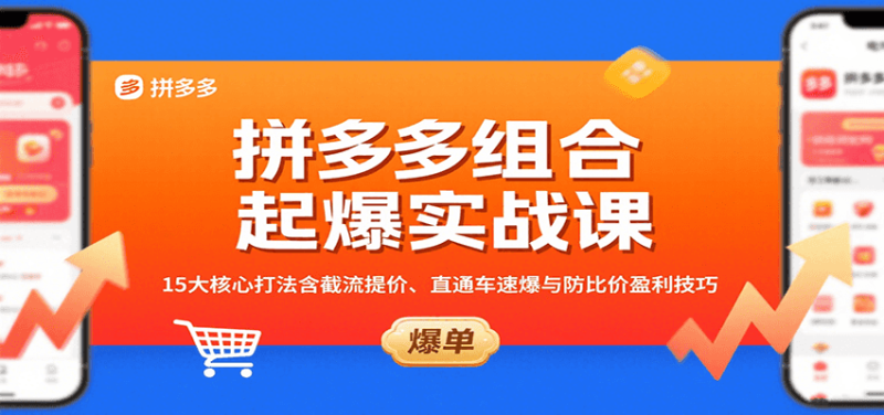 拼多多组合起爆实战课：15大核心打法含截流提价、直通车速爆与防比价盈利技巧网赚项目-副业赚钱-互联网创业-资源整合百读客