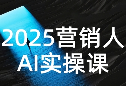 2025营销人Al实操课，AI营销抢跑实战，从Prompt到方案，效率碾压同行网赚项目-副业赚钱-互联网创业-资源整合百读客