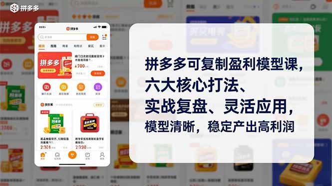 拼多多可复制盈利模型课，六大核心打法、实战复盘、灵活应用，模型清晰，稳定产出高利润网赚项目-副业赚钱-互联网创业-资源整合百读客