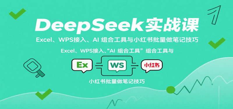 DeepSeek实战课：Excel、WPS接入、AI 组合工具与小红书批量做笔记技巧网赚项目-副业赚钱-互联网创业-资源整合百读客