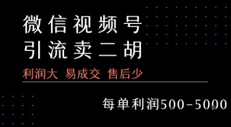 视频号卖二胡教程，利润大 易成交 售后少，一单利润5张+网赚项目-副业赚钱-互联网创业-资源整合百读客