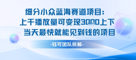 小众蓝海赛道项目:当天变现1k+适合新手操作 +适合长期玩网赚项目-副业赚钱-互联网创业-资源整合百读客