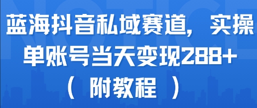 蓝海抖音私域赛道，实操单账号当天变现288+(附教程)网赚项目-副业赚钱-互联网创业-资源整合百读客