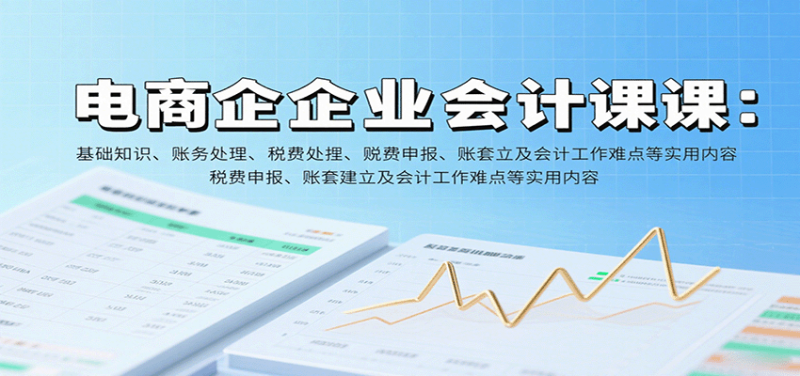 电商企业会计课：基础知识、账务处理、税费申报、账套建立及会计工作难点等实用内容网赚项目-副业赚钱-互联网创业-资源整合百读客