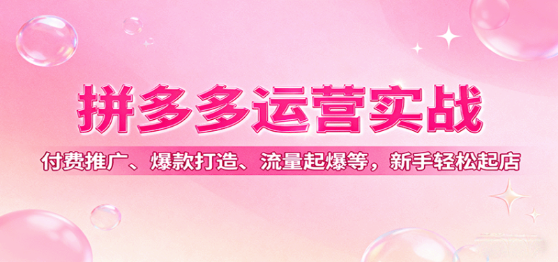 拼多多运营实战，付费推广、爆款打造、流量起爆等，新手轻松起店网赚项目-副业赚钱-互联网创业-资源整合百读客