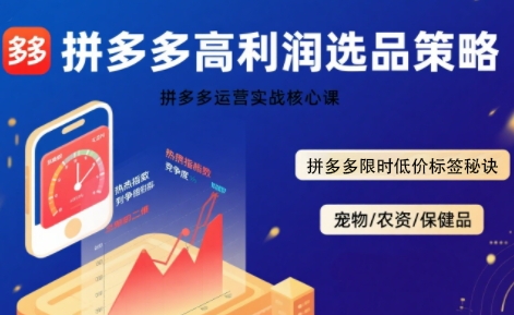 拼多多选品暴利技术实战课,拼多多高利润选品策略,拼多多限时低价标签秘诀网赚项目-副业赚钱-互联网创业-资源整合百读客