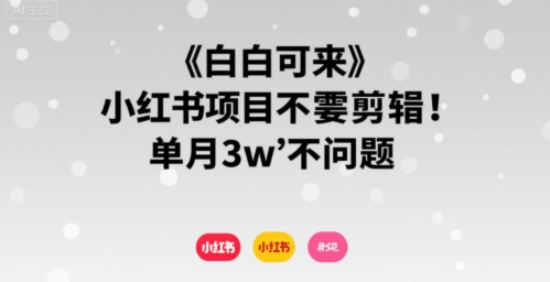 小白可来 小红书项目不需要剪辑 单月3w不是问题网赚项目-副业赚钱-互联网创业-资源整合百读客