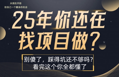 25年,你还在疯狂的找项目吗?别傻了,看完这个你都懂了网赚项目-副业赚钱-互联网创业-资源整合百读客