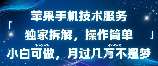 苹果手机技术服务,独家拆解,操作简单,小白可做,月过1W不是梦网赚项目-副业赚钱-互联网创业-资源整合百读客