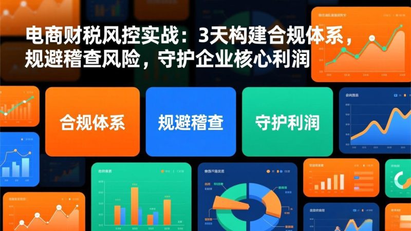 电商财税风控实战：3天构建合规体系，规避稽查风险，守护企业核心利润网赚项目-副业赚钱-互联网创业-资源整合百读客