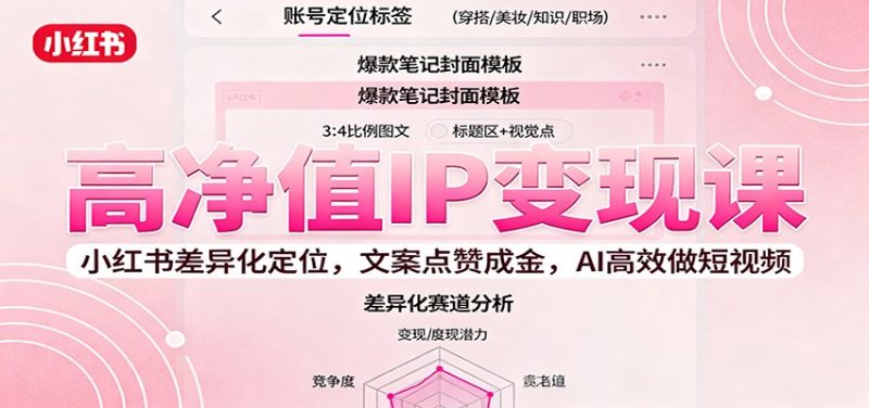 高净值IP变现课：小红书差异化定位，文案点赞成金， AI高效做短视频网赚项目-副业赚钱-互联网创业-资源整合百读客