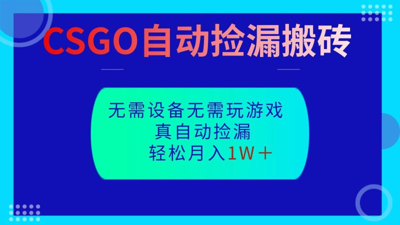 CSGO自动捡漏搬砖,当天操作当天见结果,无需了解游戏,包教包会包落地网赚项目-副业赚钱-互联网创业-资源整合百读客