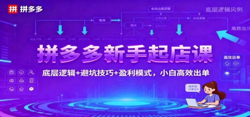 拼多多新手起店课：底层逻辑+避坑技巧+盈利模式，小白高效出单网赚项目-副业赚钱-互联网创业-资源整合百读客