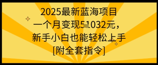 2025最新蓝海项目一个月变现1w+新手小白也能轻松上手【附全套指令】网赚项目-副业赚钱-互联网创业-资源整合百读客