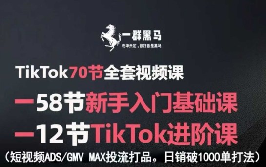 TikTok全套视频课，新手入门+进阶课，短视频ADS-GMV MAX投流打品，日销破1000单打法网赚项目-副业赚钱-互联网创业-资源整合百读客